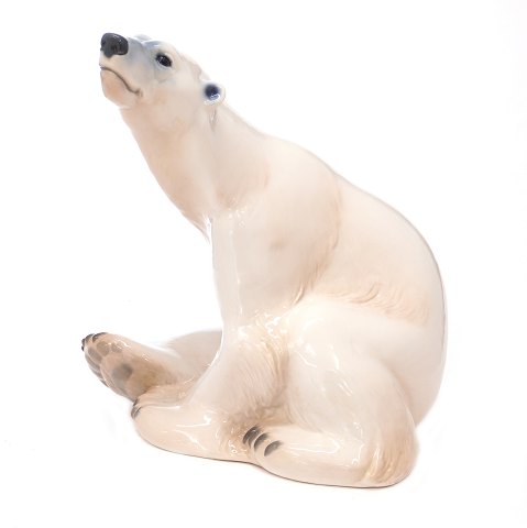 Very large B&G polar bear 1954. 2nd quality in a 
very nice condition. H: 42cm