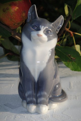 Royal Copenhagen Figur 1803 Katze