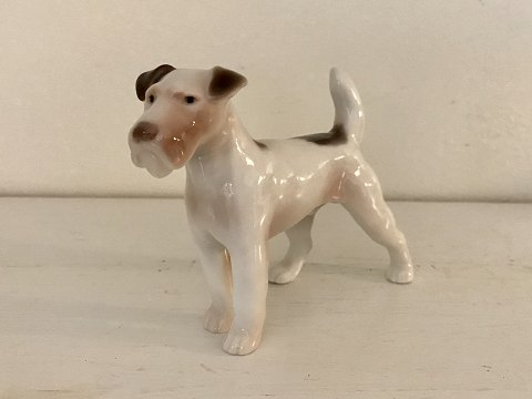 Bing & Grondahl
Fox Terrier
# 2072
*600kr