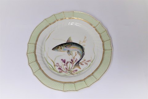 Royal Copenhagen. Fischplatte mit grünem Rand. Modell 919/1710. Scomber scomber