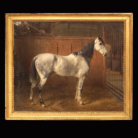 Unbekannter Künstler: Porträt des Pferdes "Wyton". 
Öl auf Leinen. Um 1840. Lichtmasse: 47x56cm. Mit 
Rahmen: 55x64cm