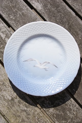 Seagull without gold Danish porcelain, cake plates 15.5cm