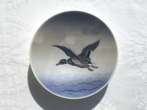 Royal Copenhagen
dish
Gray duck
# 1087/1109
*50 Danish kroner