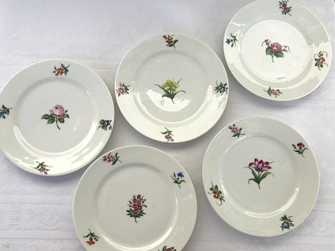 Royal Copenhagen
Kuchenteller mit handbemalten Streublumen
* 200 DKK