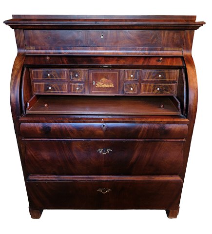 Bestellnummer: 559309