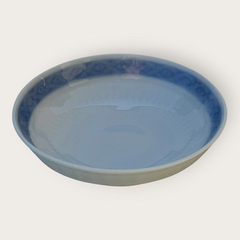 main