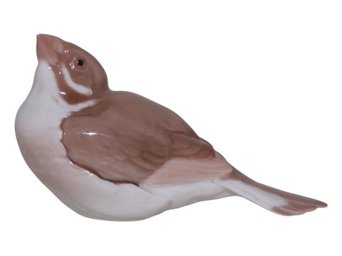 main
