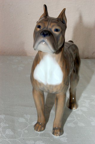 Royal Copenhagen Figurine 3634 Boxer dog