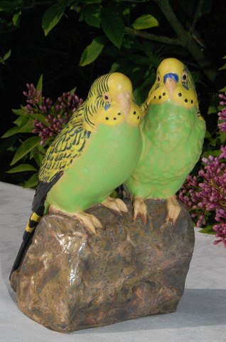 Royal Copenhagen budgerigar
