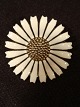 Bestellnummer:
117517 Bestellnummer:
117517