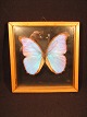 Bestellnummer:
142297 Bestellnummer:
142297