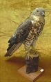 Bestellnummer:
17935 Bestellnummer:
17935