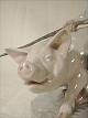 Bestellnummer:
28043 Bestellnummer:
28043