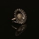 Georg Jensen: Stor Daisy / Marguerit ring af rhodineret sterlingsølv. D: 3,2cm. 
Ringstr. 58
