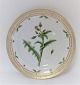 Royal Copenhagen, Flora Danica. Frokost tallerken. Design #3550. Diameter 22 cm. 
(1 sortering). Sonchus asper Vill