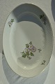 Bing & Gröndahl  Crysantemum Plate 15