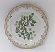 Royal Copenhagen
Flora Danica
Serveringsfad
# 3525
Pyrus Malus L