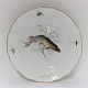 Meissen. Porcelæn. Fisketallerken. Diameter 25 cm