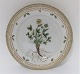 Royal Copenhagen, Flora Danica. Lunch plate. Design # 3550. Diameter 22 cm. (1 
quality).