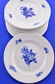 Royal Copenhagen Blaue Blume glatt Heringsplatte 8094