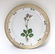 Royal Copenhagen, Flora Danica. Frokost tallerken. Design #3550. Diameter 22 cm. 
(1 sortering). Saxifraga nivalis L