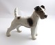 Bing & Grondahl. Porcelain figure. Rough-haired Fox Terrier. Model 1998. Height 
14 cm. (2 quality)