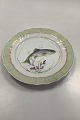 Royal 
Copenhagen Grøn 
Fisketallerken 
No 919/1710 med 
...