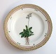 Royal Copenhagen Flora Danica. Kuchenteller. Entwurf # 3551. Durchmesser 17 cm. 
Saxifraga stellaris L