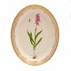 Aabenraa 
Antikvitetshandel 
präsentiert: 
Royal 
Copenhagen 
Flora Danica 
grosse ovale 
Platte #3518. 
"Orchis ...