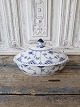 Karstens Antik 
præsenterer: 
Royal 
Copenhagen 
Musselmalet 
helblonde 
lågfad 
no. 1129