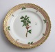 Lundin Antique 
präsentiert: 
Royal 
Copenhagen 
Flora Danica. 
Kuchenteller. 
Entwurf # 3552. 
Durchmesser 
14,5 cm. ...