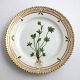 Lundin Antique 
präsentiert: 
Royal 
Copenhagen 
Flora Danica. 
Kuchenteller. 
Entwurf # 3552. 
Durchmesser 
14,5 cm. ...