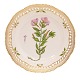 Aabenraa Antikvitetshandel presents: Royal Copenhagen Flora Danica dinner plate 3553. "Epilobium latifolium ...