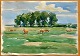 Pegasus – Kunst - Antik - Design präsentiert: Svendsen, Albert (1889 - 1959) Dänemark: Pferde auf einem Feld, ...