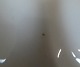 sub: 2