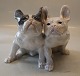 sub: 7