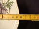 sub: 2
