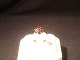 sub: 5